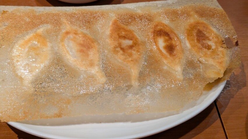 你好 元祖羽根付き焼餃子